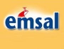 logo-emsal